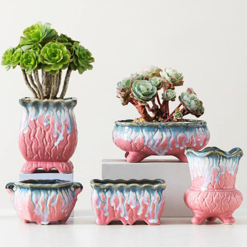 Snake Plant Ceramic - 창의적인 유약 화분 다육 화분 분재