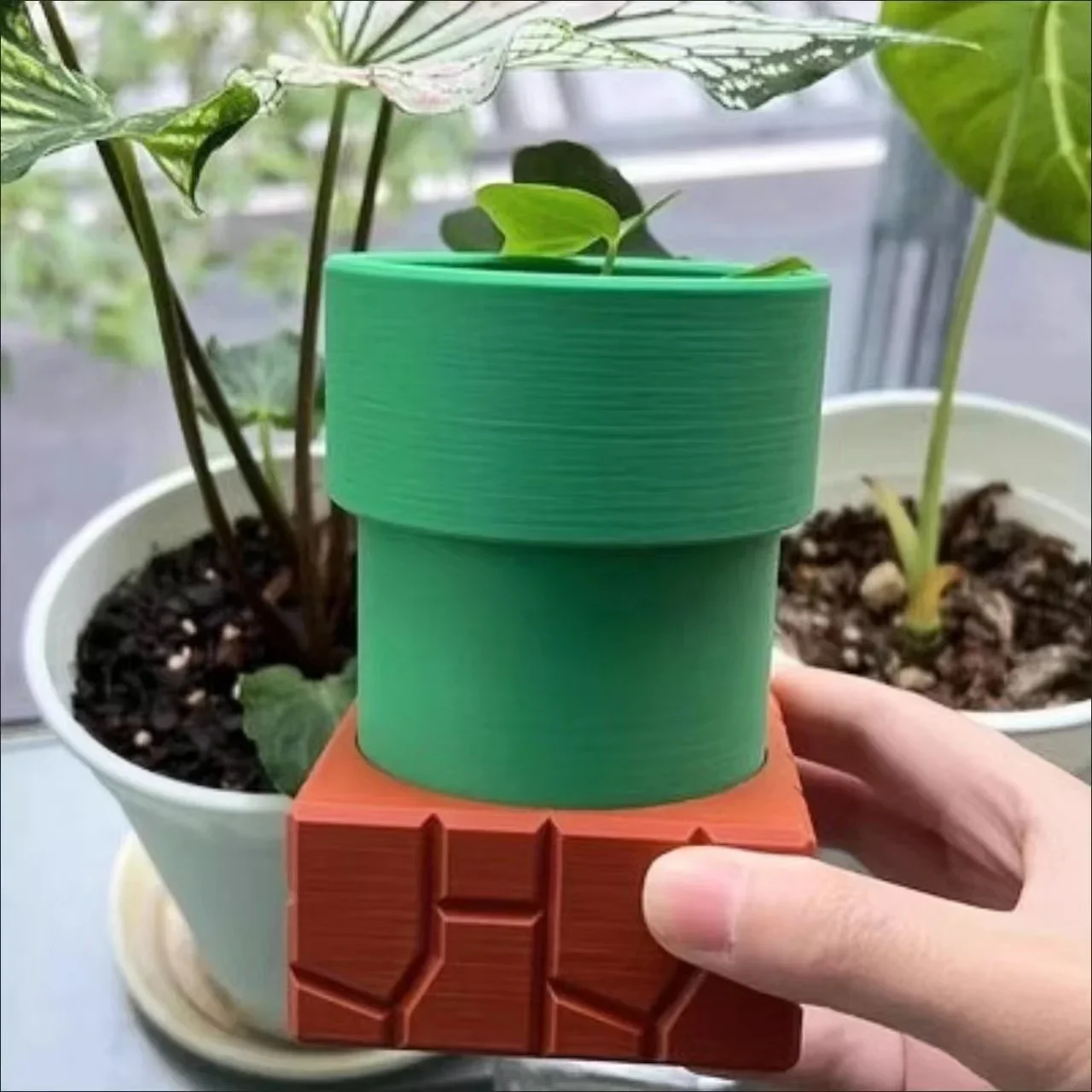 Snake Plant Ceramic - 물 파이프 식인종 꽃 냄비 즙이