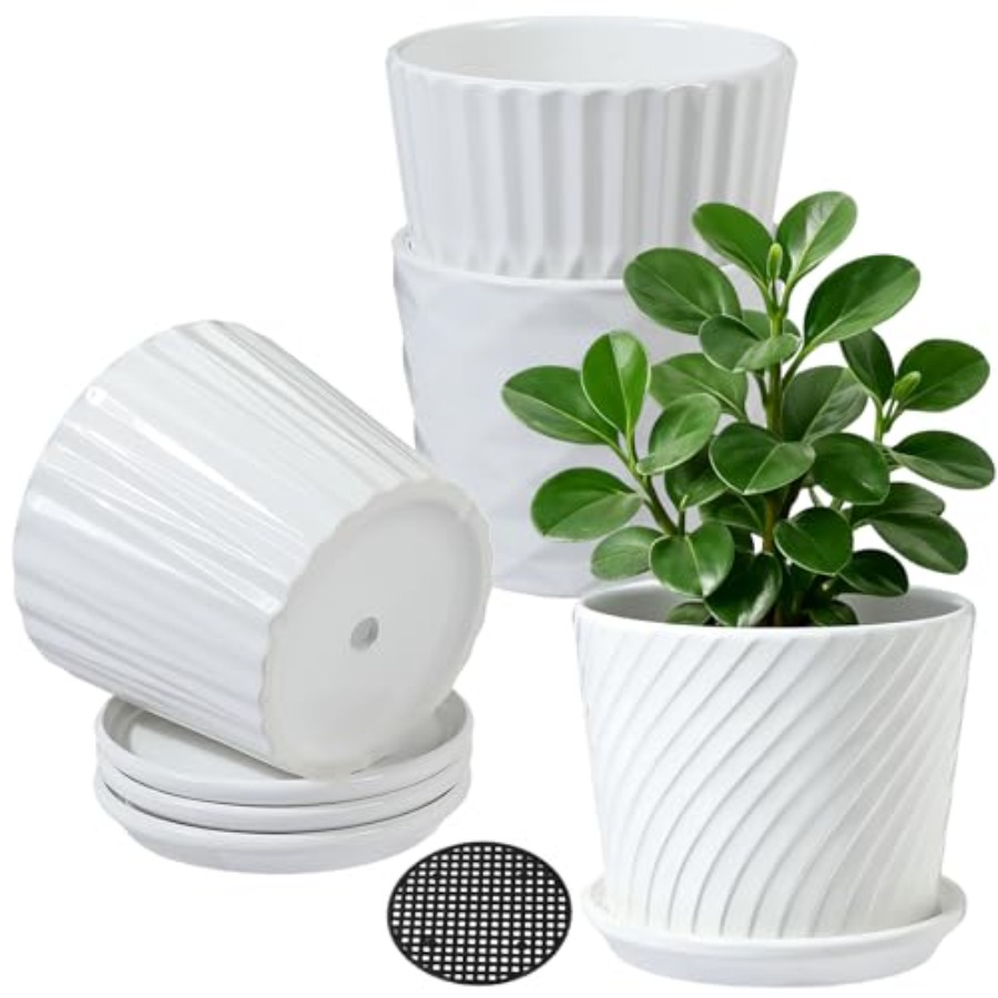 Snake Plant Ceramic - 화분 - 연결된 받침이 있는 원통형