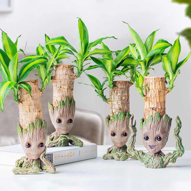 현대 미니멀리스트 꽃병 장식 홈 오피스 스토리지 펜 케 - Plant Parents 리뷰 및 가격