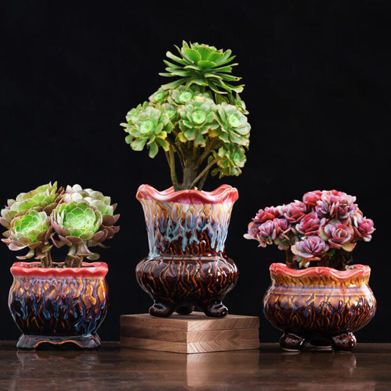 창의적인 유약 화분 다육 화분 분재 화분, 녹색 식물  - Snake Plant Ceramic 리뷰 및 가격