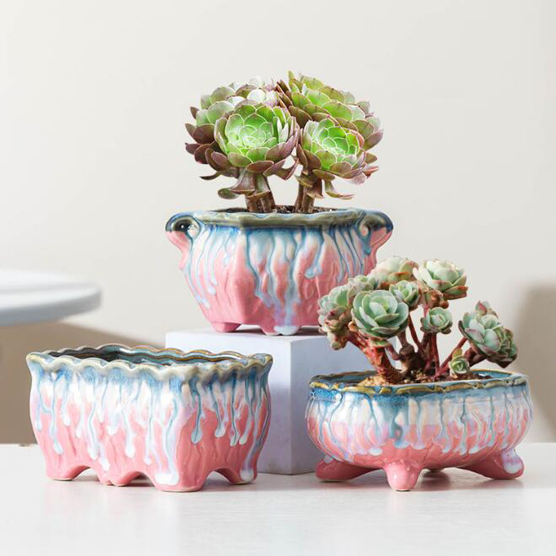 창의적인 유약 화분 다육 화분 분재 화분, 녹색 식물  - Snake Plant Ceramic 리뷰 및 가격
