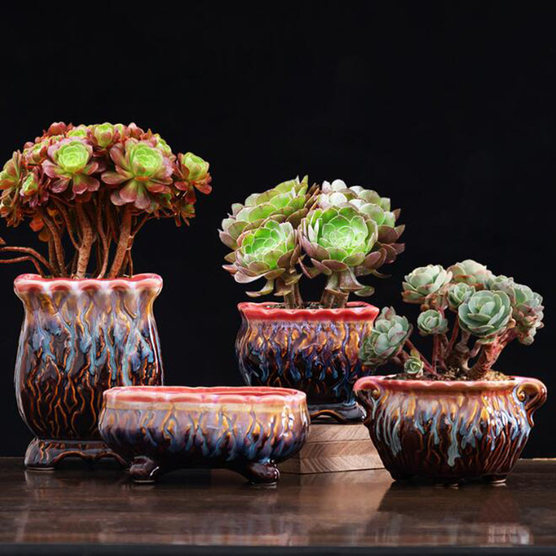 창의적인 유약 화분 다육 화분 분재 화분, 녹색 식물  - Snake Plant Ceramic 리뷰 및 가격