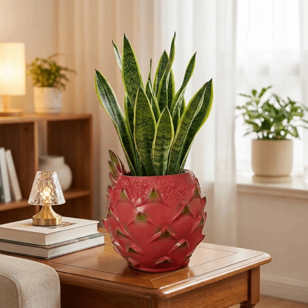 창의적인 레진 드래곤 프루트 화분 수제 과일 모양 피타 - Snake Plant Ceramic 리뷰 및 가격