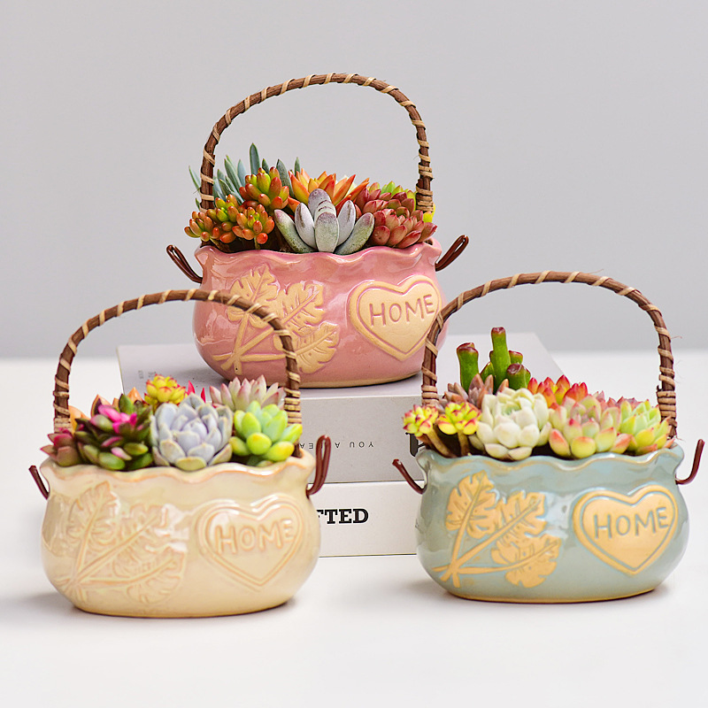 북유럽 스타일 세라믹 바구니 다육식물 화분, 통기성 있 - Snake Plant Ceramic 리뷰 및 가격