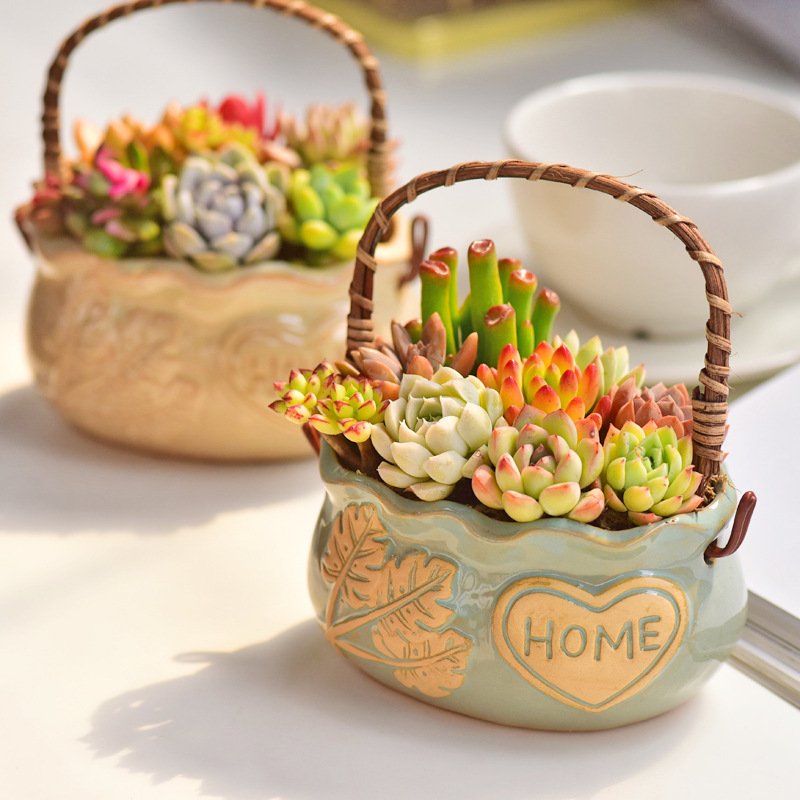 북유럽 스타일 세라믹 바구니 다육식물 화분, 통기성 있 - Snake Plant Ceramic 리뷰 및 가격
