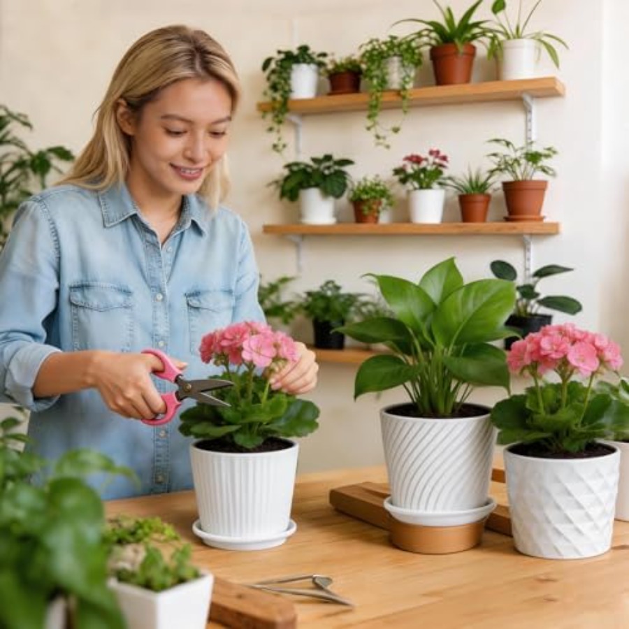 화분 - 연결된 받침이 있는 원통형 세라믹 화분, 다육 - Snake Plant Ceramic 리뷰 및 가격