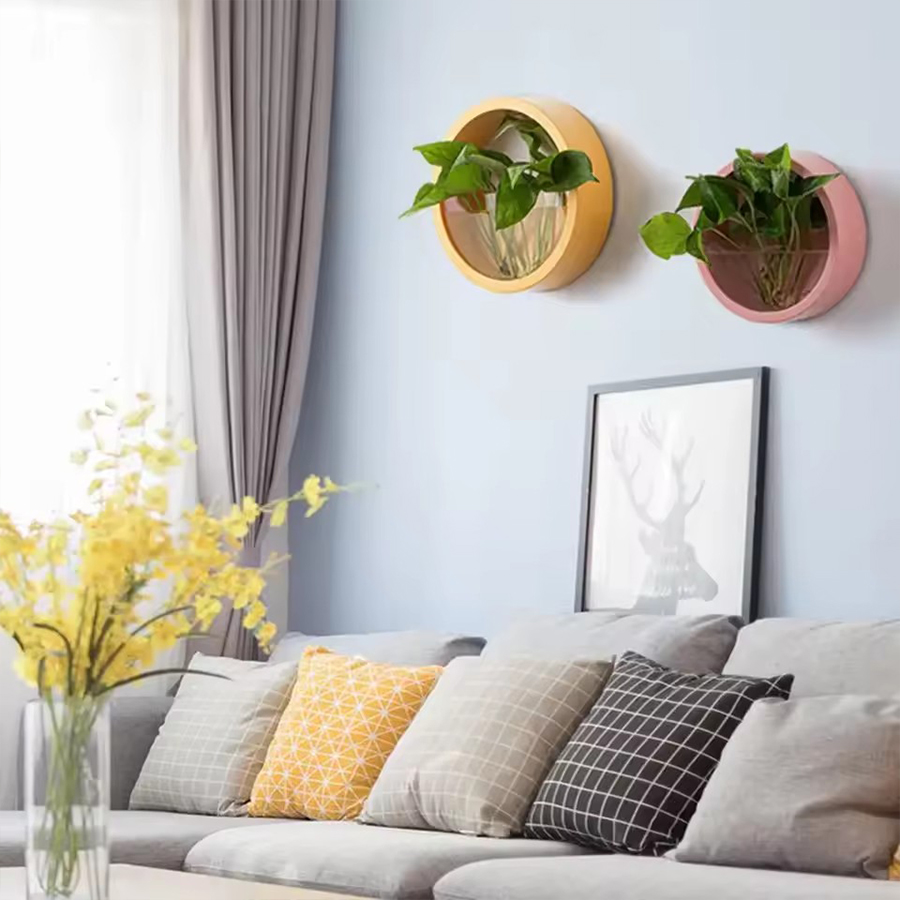 원형 벽걸이 화분 3가지 색상 (핑크, 블루, 블랙)  - Snake Plant Ceramic 리뷰 및 가격