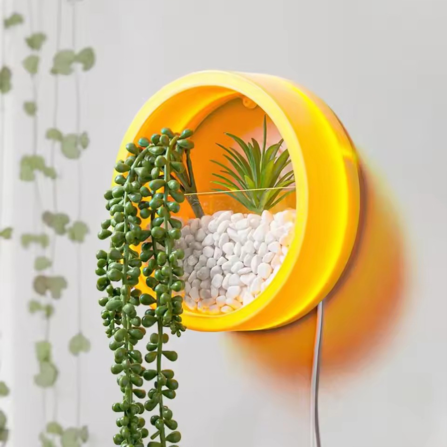 원형 벽걸이 화분 3가지 색상 (핑크, 블루, 블랙)  - Snake Plant Ceramic 리뷰 및 가격