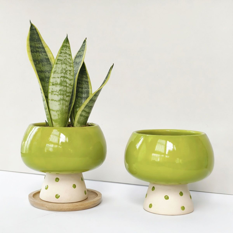 세련된 미니멀리스트 세라믹 화분 (거미뱀, 다육식물용) - Snake Plant Ceramic 리뷰 및 가격