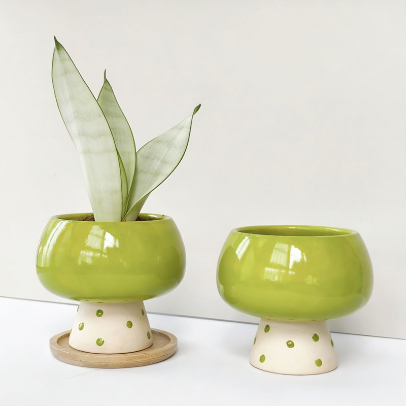 세련된 미니멀리스트 세라믹 화분 (거미뱀, 다육식물용) - Snake Plant Ceramic 리뷰 및 가격