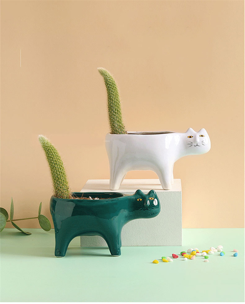 귀여운 고양이 세라믹 정원 꽃 냄비 동물 이미지 선인장 - Snake Plant Ceramic 리뷰 및 가격