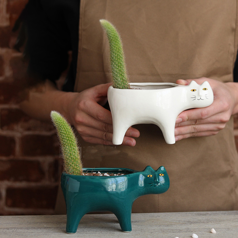 귀여운 고양이 세라믹 정원 꽃 냄비 동물 이미지 선인장 - Snake Plant Ceramic 리뷰 및 가격