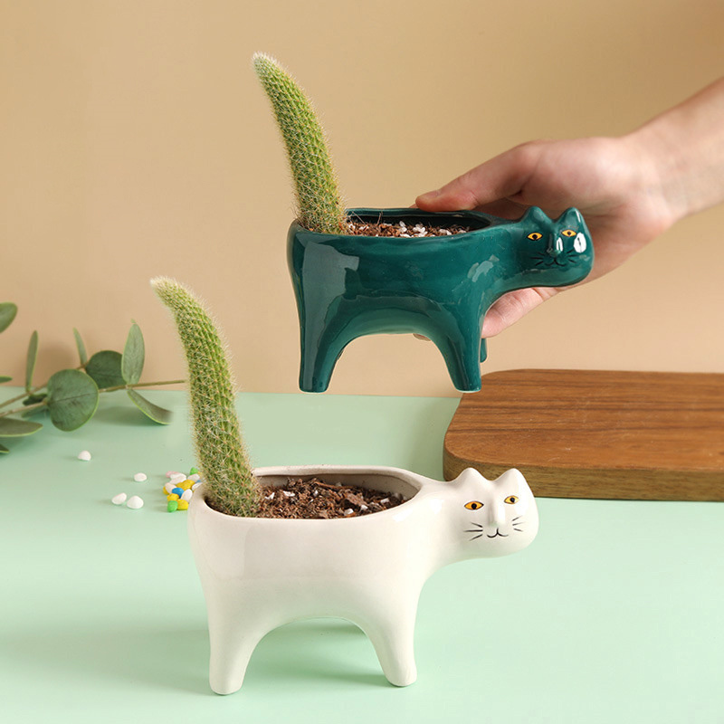 귀여운 고양이 세라믹 정원 꽃 냄비 동물 이미지 선인장 - Snake Plant Ceramic 리뷰 및 가격