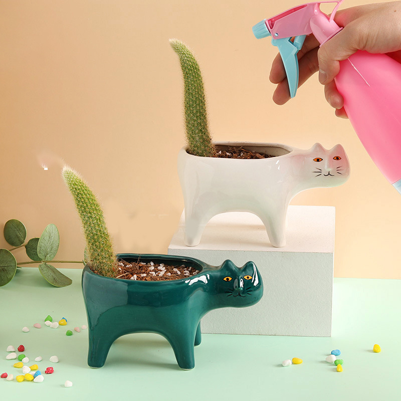 귀여운 고양이 세라믹 정원 꽃 냄비 동물 이미지 선인장 - Snake Plant Ceramic 리뷰 및 가격